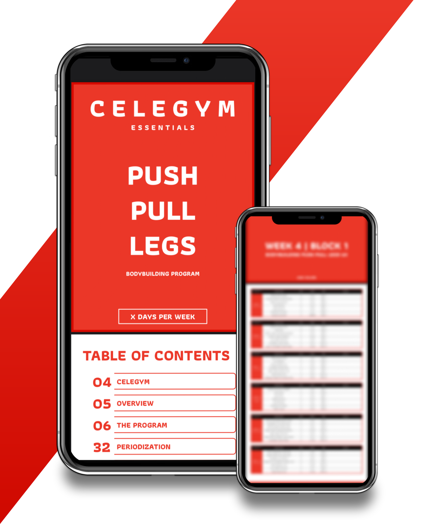 Push Pull Legs: Bodybuilding Program