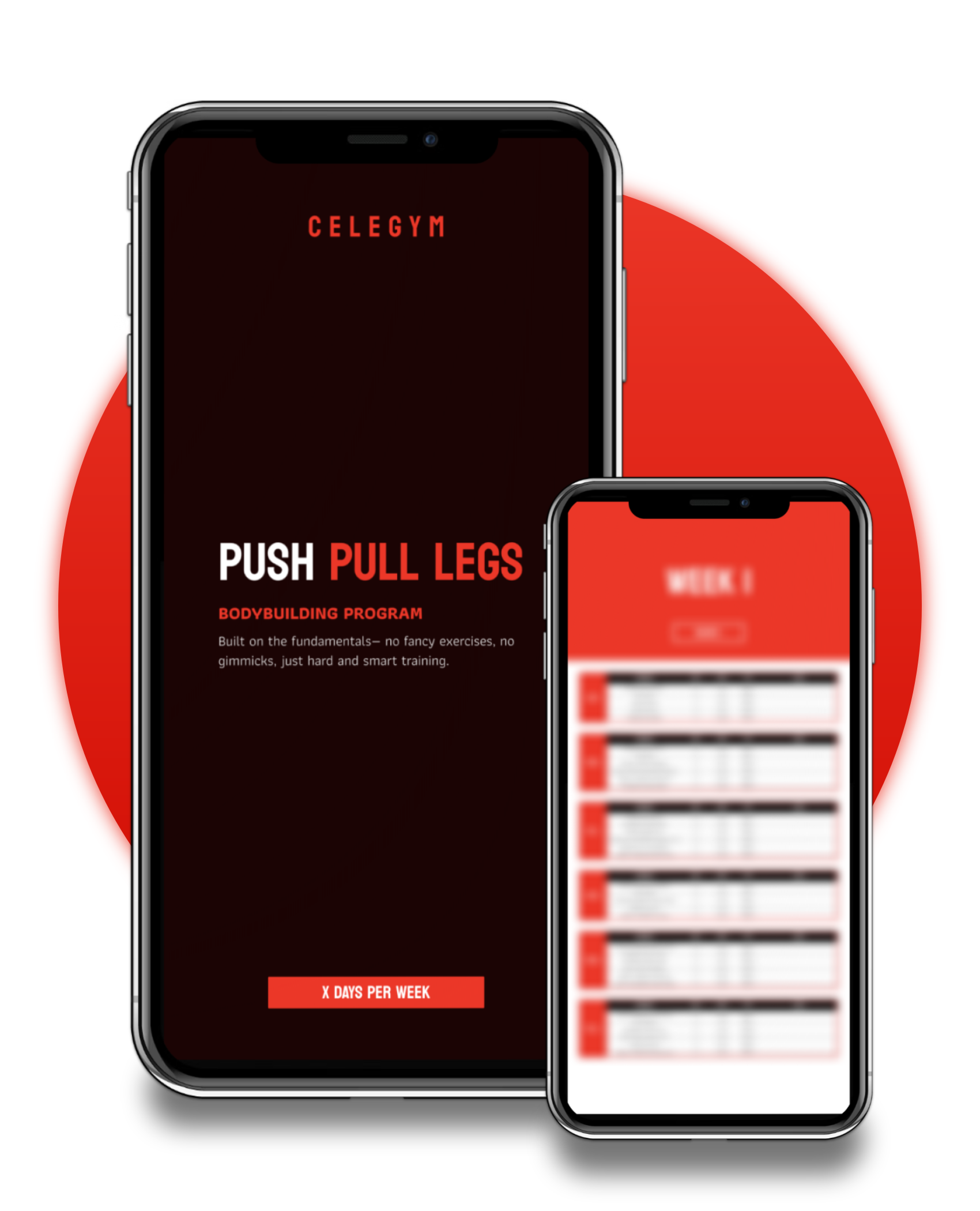 Push Pull Legs: Bodybuilding Program