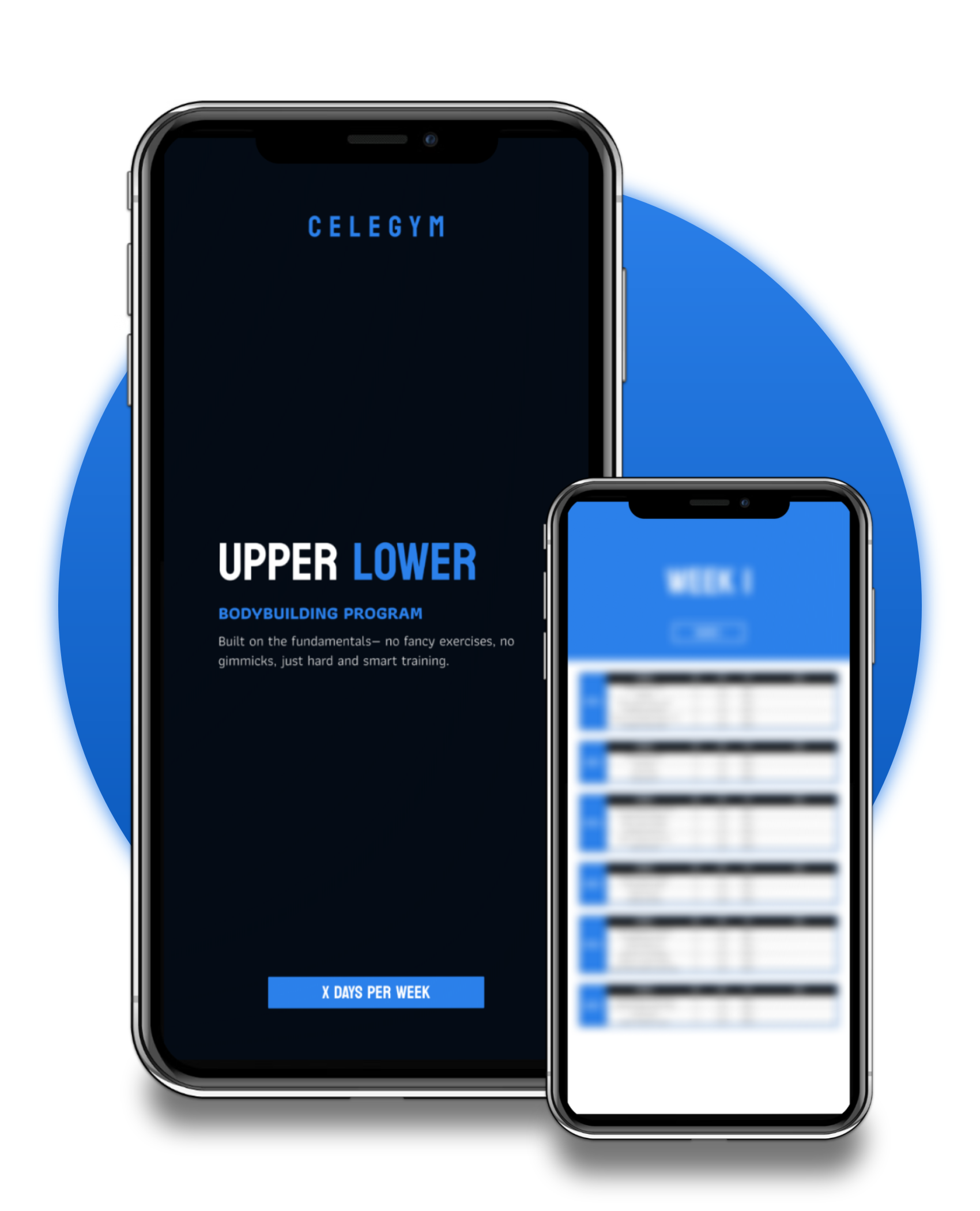 Upper Lower: Bodybuilding Program
