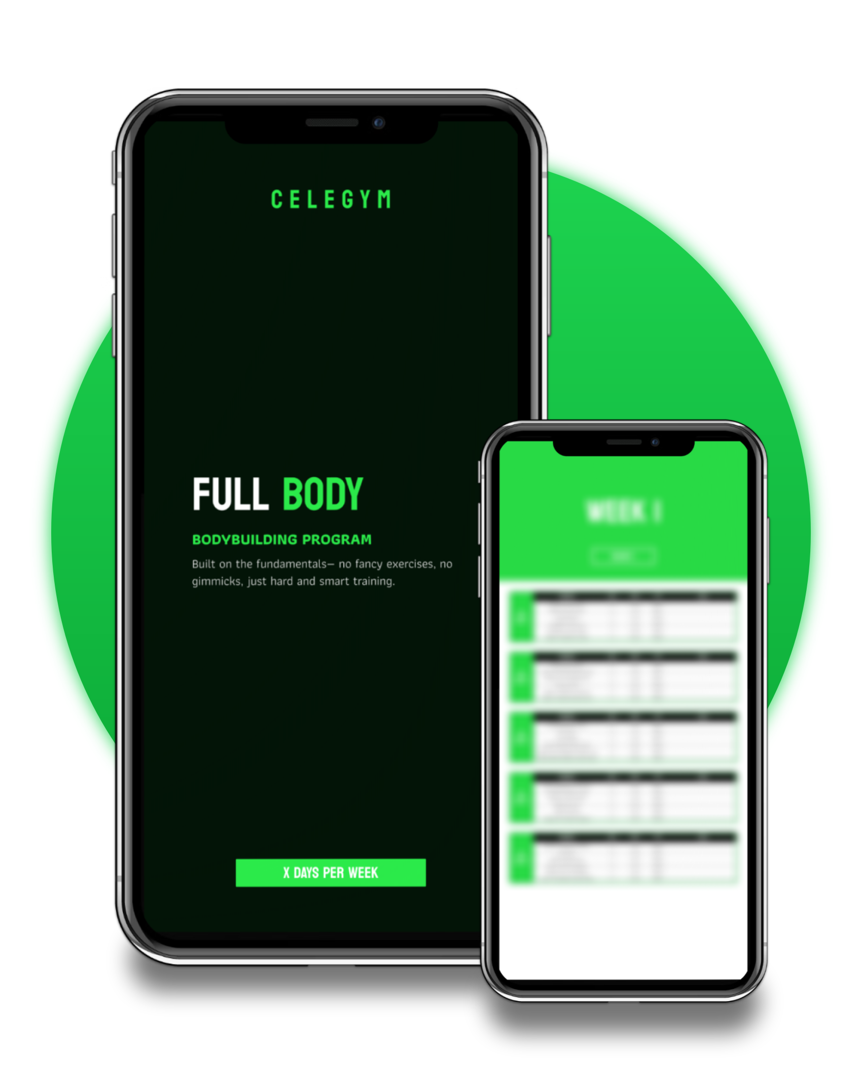 Full Body: Bodybuilding Program