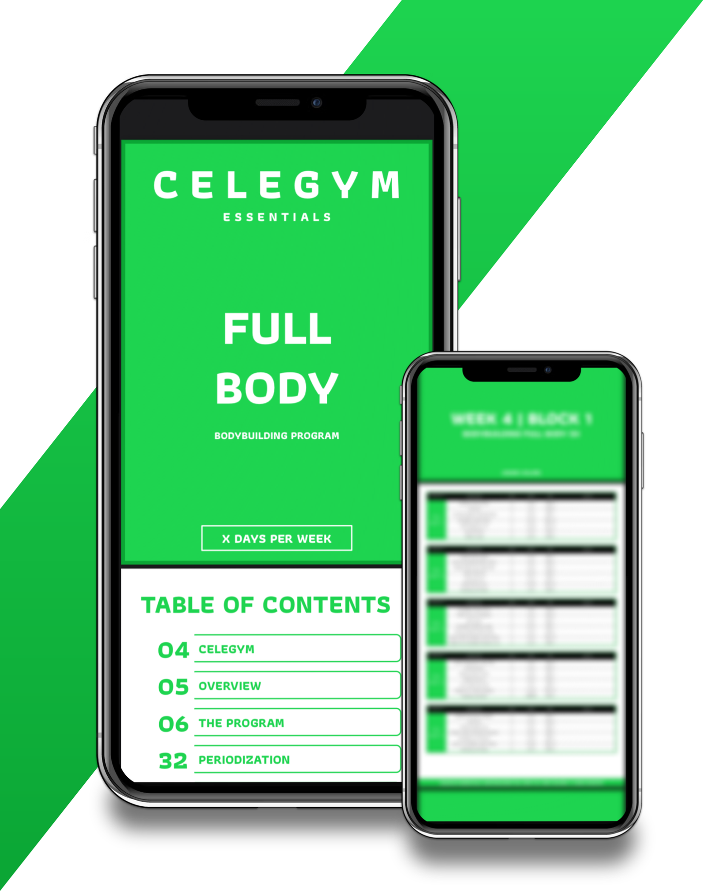 Full Body: Bodybuilding Program